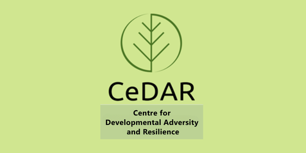 Experts explore the future of child attachment assessment 